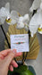 Fortune Bracelet - for Prosperity, Luck & Success - BellishFortune Bracelet - for Prosperity, Luck & Success